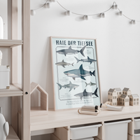 Poster Jungenzimmer Haie mit Fakten deutsch