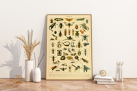 Das Poster zu Insekten ist eine Illustration des französischen Künstlers Adolphe Millot. Das Bild zeigt unterschiedliche Insektenarten.