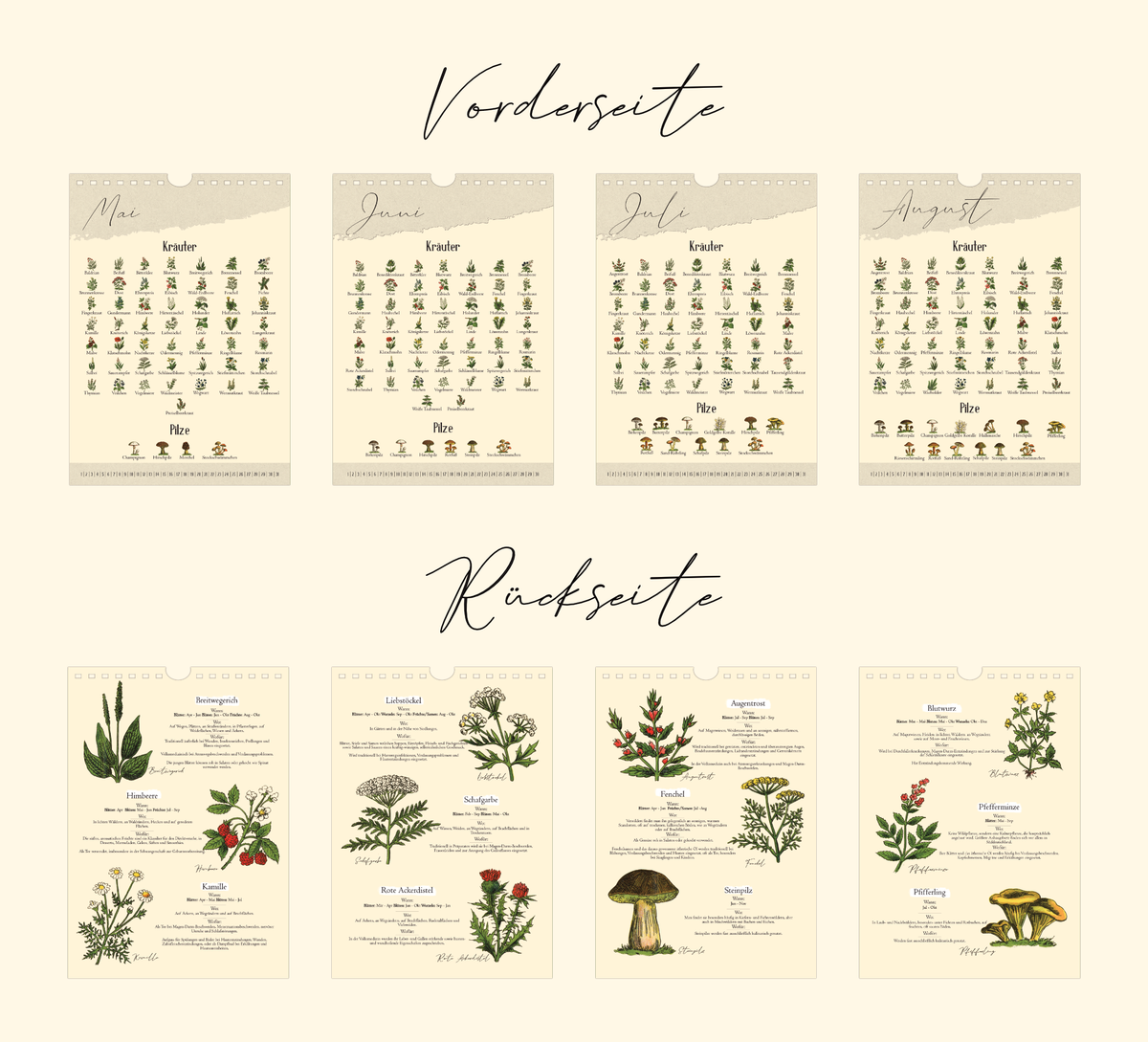 Saisonkalender mit Vintage-Illustrationen zeigt monatlich Wildkräuter & Pilze. Mit Infos zu Ernte, Nutzung & Fundort. Hochwertiger A4-Druck – ideal für Küche oder als Geschenk.