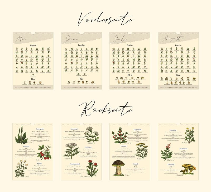 Saisonkalender mit Vintage-Illustrationen zeigt monatlich Wildkräuter & Pilze. Mit Infos zu Ernte, Nutzung & Fundort. Hochwertiger A4-Druck – ideal für Küche oder als Geschenk.