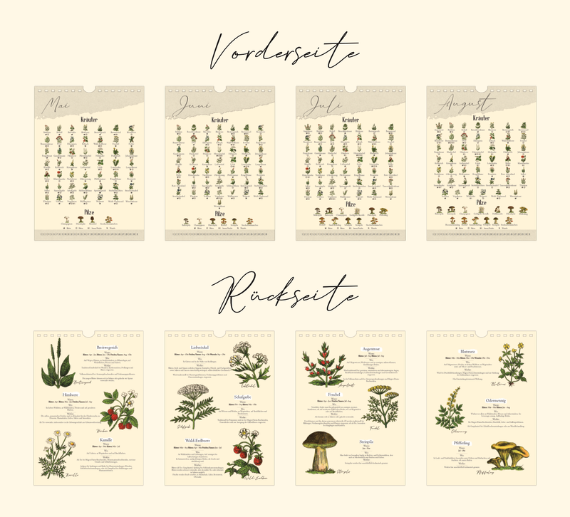 A4-Wandkalender mit historischen Illustrationen von Wildpflanzen, Kräutern und Pilzen aus der Zeit um 1900; Monatsübersicht mit saisonalen Pflanzen, hochwertiger Fineart-Druck auf Premium-Papier, Vintage-Design mit schwarzer Spiralbindung.