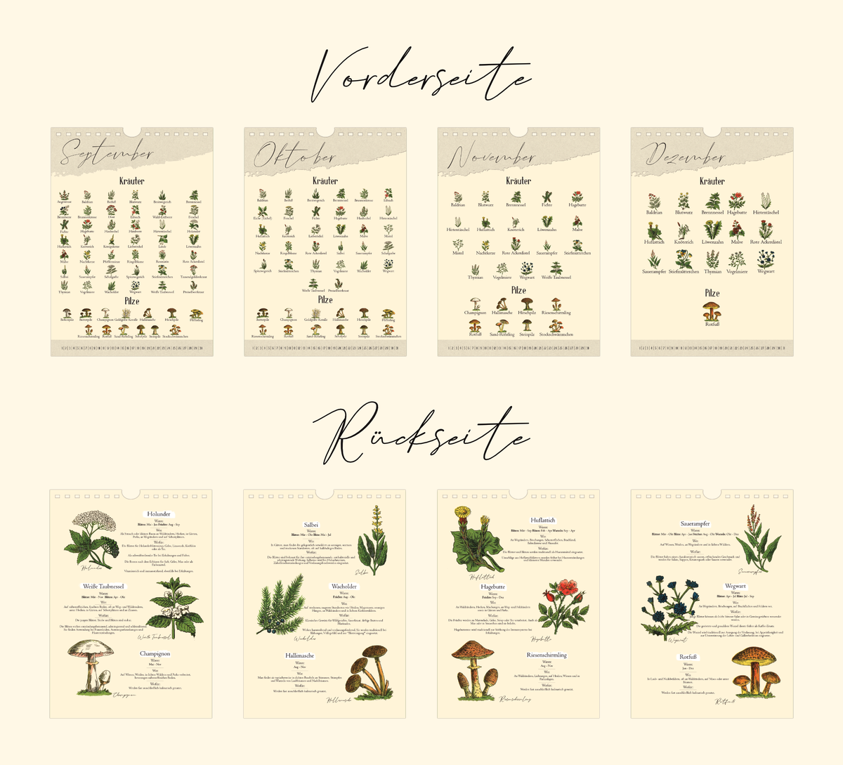 Saisonkalender mit Vintage-Illustrationen zeigt monatlich Wildkräuter & Pilze. Mit Infos zu Ernte, Nutzung & Fundort. Hochwertiger A4-Druck – ideal für Küche oder als Geschenk.