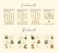 Saisonkalender mit Vintage-Illustrationen zeigt monatlich Wildkräuter & Pilze. Mit Infos zu Ernte, Nutzung & Fundort. Hochwertiger A4-Druck – ideal für Küche oder als Geschenk.