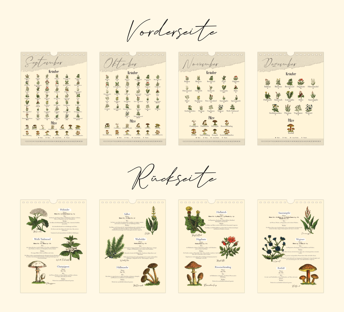 A4-Wandkalender mit historischen Illustrationen von Wildpflanzen, Kräutern und Pilzen aus der Zeit um 1900; Monatsübersicht mit saisonalen Pflanzen, hochwertiger Fineart-Druck auf Premium-Papier, Vintage-Design mit schwarzer Spiralbindung.