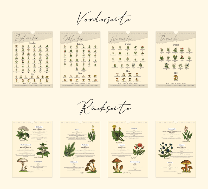 A4-Wandkalender mit historischen Illustrationen von Wildpflanzen, Kräutern und Pilzen aus der Zeit um 1900; Monatsübersicht mit saisonalen Pflanzen, hochwertiger Fineart-Druck auf Premium-Papier, Vintage-Design mit schwarzer Spiralbindung.