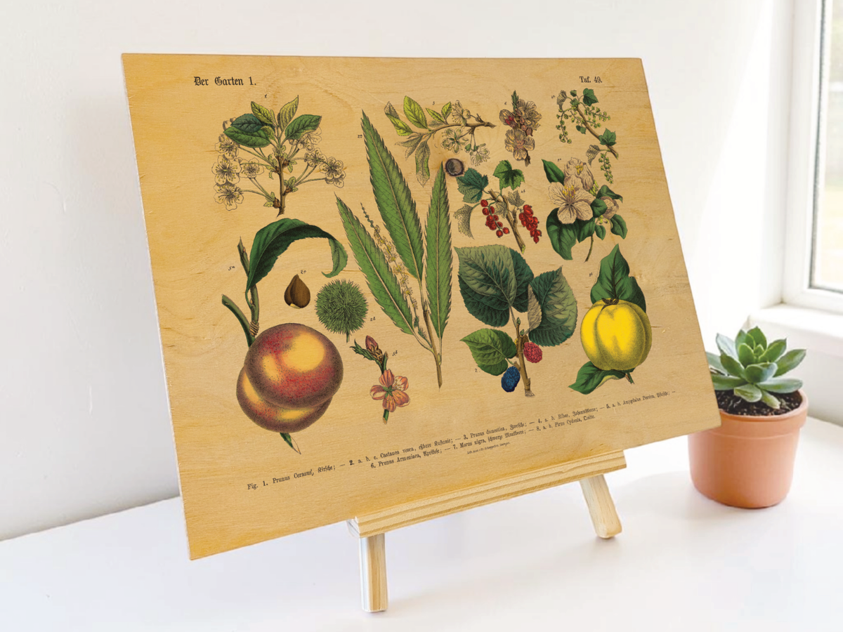 Vintage Bild auf Holz gedruckt.