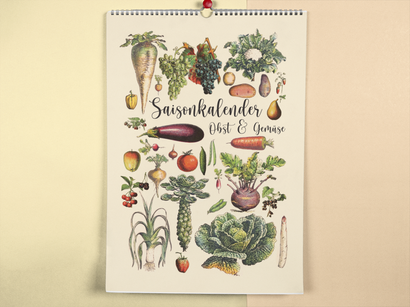 Dieser Kalender zeigt dir verschiedene saisonale und regionale Obst, Gemüse, Salat und Obst Sorten und wann diese verfügbar sind.