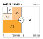 Poster Eulersche Formel | Mathematik