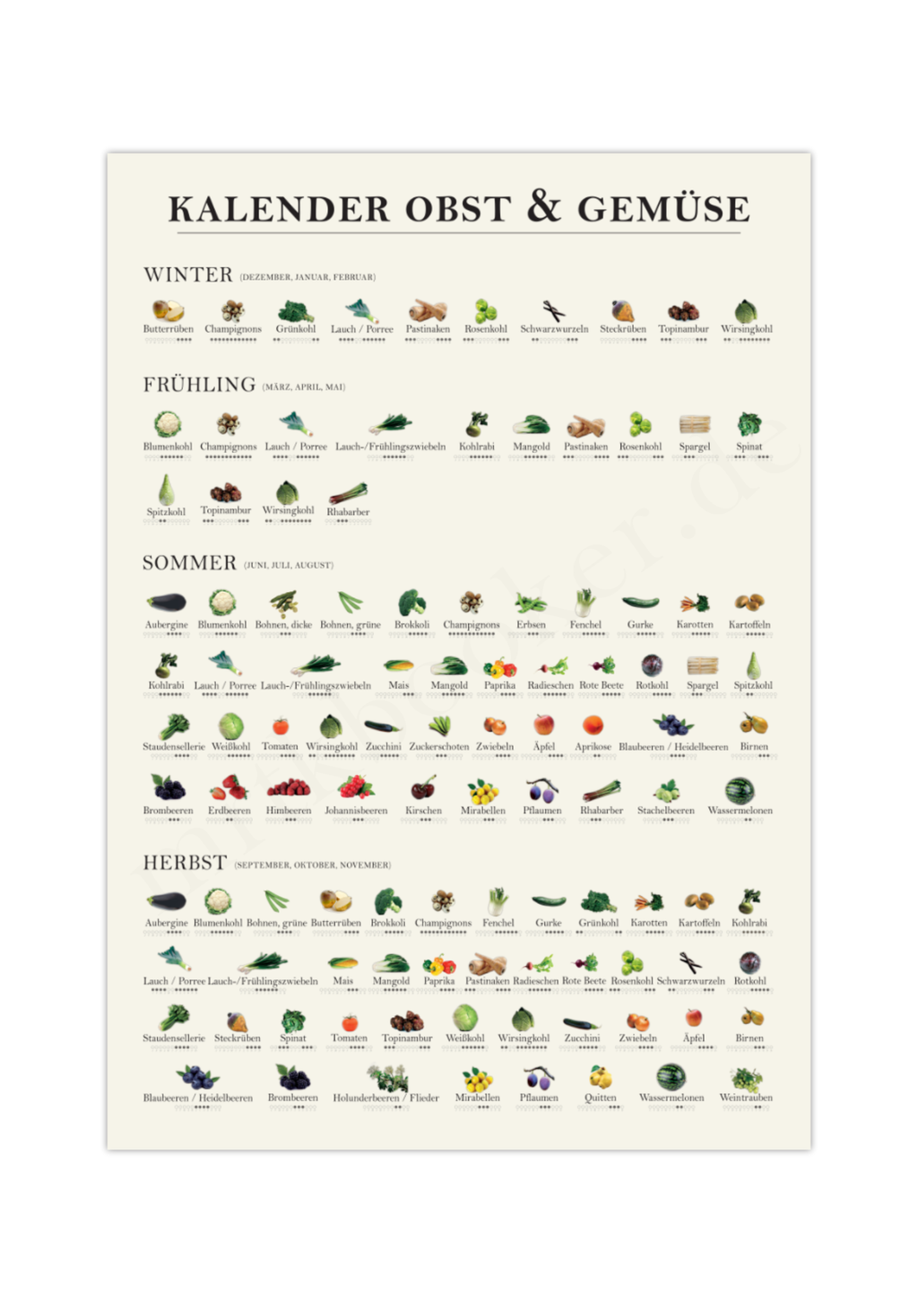 Der Saisonkalender zeigt verschiedene Obst, Gemüse und Salatsorten mit Bildern in Farbe und unterschieden nach Frühling, Sommer, Herbst und Winter.