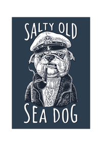 Hol dir dieses witzige, maritime Poster eines echten Seehunds. Die ideale Wanddeko für alle Nordlichter. 
