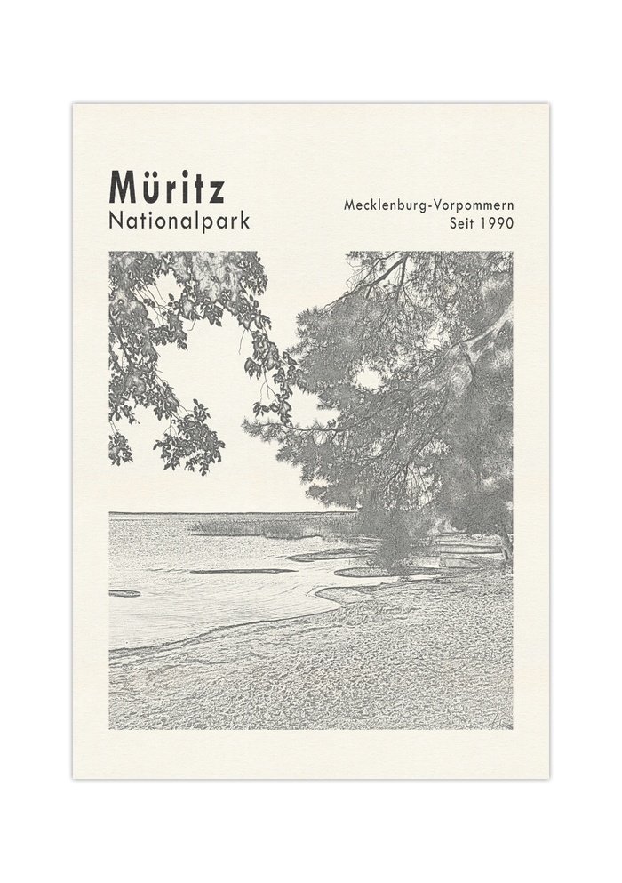 Dieses Poster zeigt eine Ansicht der Müritz im Nationalpark Müritz, Mecklenburg Vorpommern. 