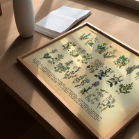 Dieses vintage Poster von Arzneikräutern ist die erste botanische Illustration von 1886 der lithographischen Anstalt F.R. Schepperlen 1880 - 1886.