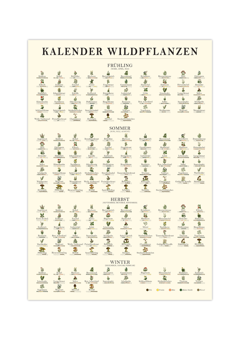 Poster „Saisonkalender Kräuter & Pilze“ – Fineart-Druck auf 200 g/m² Premium-Papier, beige, Vintage-Design, verschiedene Größen, ungerahmt. Ideal für Naturfreunde.