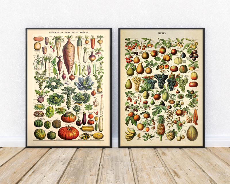 Die Poster zeigen zwei vintage botanische Illustrationen von Obst und Gemüse. Gezeichnet vom französischen Künstler Adolphe Philippe Millot aus dem 19. Jahrhundert.