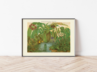 Das Poster von Insektenfressenden Pflanzen ist eine Vintage Lithographie aus Meyers Koversations-Lexikon aus dem Jahr 1890 im viktorianischen Stil. 