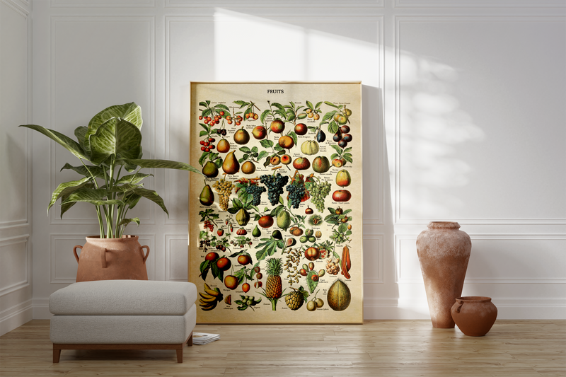 Die schöne, französische Illustration von Früchten stammt von Adolphe Philippe Millot und erschien im Buch "Dictionnaire complet illustré" im Jahre 1889.