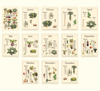 Dieser Kalender zeigt dir verschiedene saisonale und regionale Obst, Gemüse, Salat und Obst Sorten und wann diese verfügbar sind. Mit dem Saisonkalender behältst du den Überblick darüber, wann du dich mit welchem Obst oder Gemüse saisonal und nachhaltig ernähren kannst. 