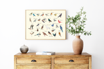Dieses Poster zeigt dir die gemeinen heimischen Vogelarten, die man im Garten und in der Natur beobachten kann. 