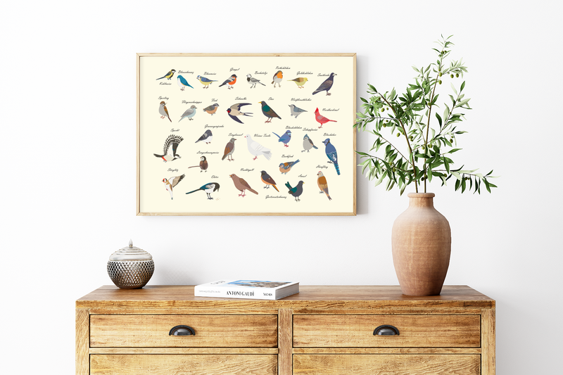 Dieses Poster zeigt dir die gemeinen heimischen Vogelarten, die man im Garten und in der Natur beobachten kann. 