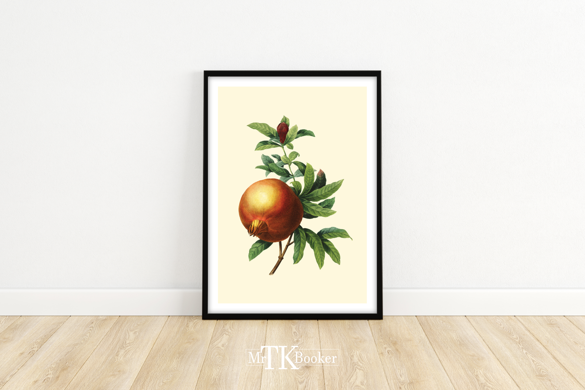 Dieses Poster zeigt eine vintage Obst Zeichnung eines Granatapfels im viktorianischen Still.
