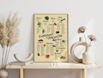 Saisonkalender Salat und Obst Poster | Bild Botanik