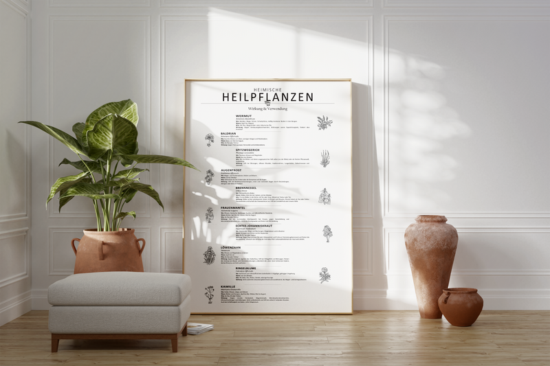 Dieses Poster zeigt 10 heimische Heilkräuter mit gezeichneten Illustrationen mit deutschem und lateinischem Namen. 