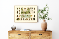 Das Poster von Käfern ist eine Vintage Lithographie aus Meyers Koversations-Lexikon aus dem Jahr 189