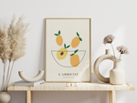 Das Poster zeigt im minimalistischen Landhausstil die Aprikosen der Côtes d'Azur.