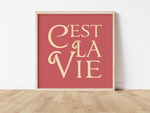 Das Poster zeigt in quadratischen Format und in verschiedenen vintage Farben den französichen Spruch "c'est la vie", was soviel bedeutet wie "so ist das Leben nun einmal". 