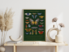 Schmetterlinge Poster | Illustration Schmetterlingsarten