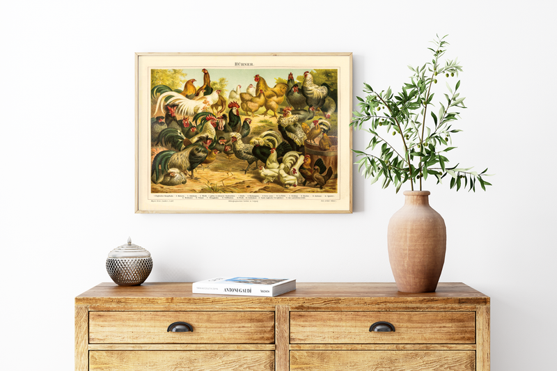 Dieses vintage Lithographie Poster von Hühner auf einem Hof ist eine Illustration/ Chromolithographie von 1906 des Bibliographischen Instituts in Leipzig. 