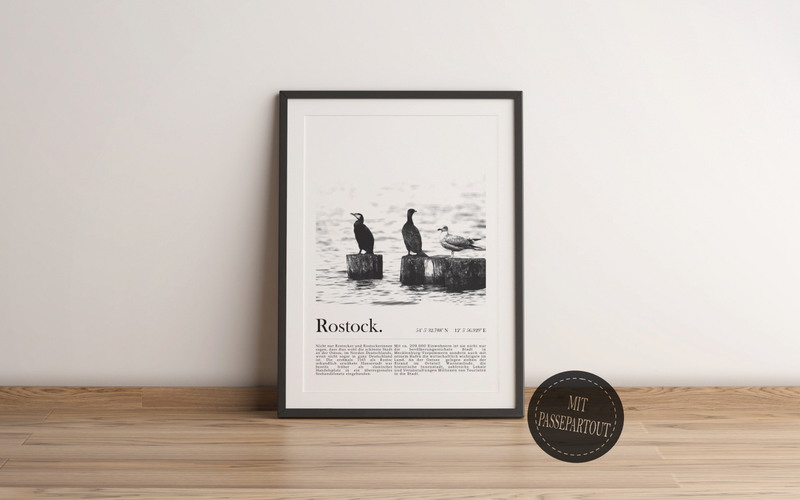 Dieses Poster zeigt eine typische Szene aus Rostock. Das Bild mit drei Möwen die auf den Wellenbrechern am Strand in Warnemünde sitzen. 