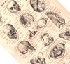 Das Poster eines menschlichen Skeletts ist eine Vintage Lithographie aus Meyers Koversations-Lexikon aus dem Jahr 1890.