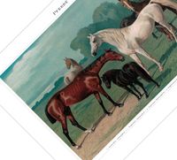 Das Poster von Pferden ist eine Vintage Lithographie aus Meyers Koversations-Lexikon aus dem Jahr 1890.