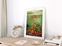 Das Poster von Algen ist eine Vintage Lithographie aus Meyers Koversations-Lexikon aus dem Jahr 1890 im viktorianischen Stil.