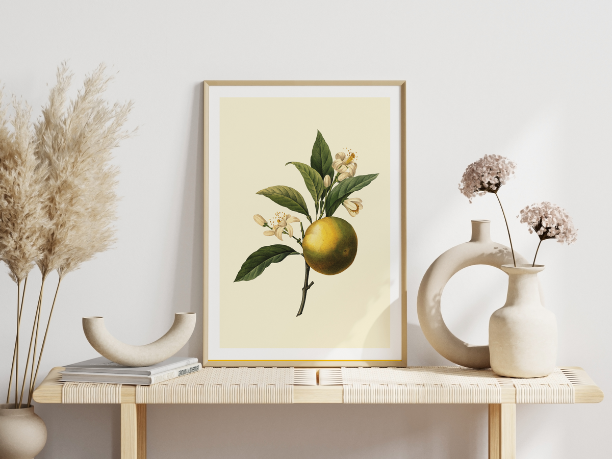 Auf diesem Bild siehst du wie diese botanische Illustration gerahmt aussehen würde.