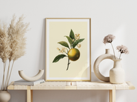 Auf diesem Bild siehst du wie diese botanische Illustration gerahmt aussehen würde.