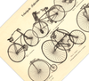 Das Poster von Fahrrädern (Velocipede) ist eine Vintage Lithographie aus Meyers Koversations-Lexikon aus dem Jahr 1890 im viktorianischen Stil.