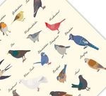Dieses Poster zeigt dir die gemeinen heimischen Vogelarten, die man im Garten und in der Natur beobachten kann. 