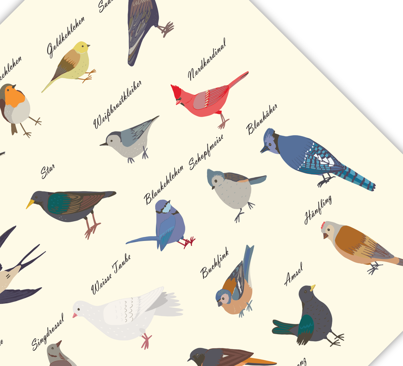 Dieses Poster zeigt dir die gemeinen heimischen Vogelarten, die man im Garten und in der Natur beobachten kann. 