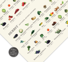 Das Poster zeigt einen Saisonkalender von Obst und Gemüse, geordnet nach Jahreszeiten. Damit du immer im Blick hast, wann was geerntet wird.