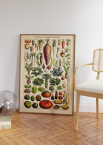 Dieses vintage Poster von Adolphe Philippe Millot zeigt dir alte Illustrationen von Obst und Gemüse auf Französisch.