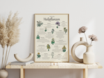 Das Poster zeigt 11 heimische Heilkräuter mit gezeichneten Illustrationen, wo du die Kräuter findest, wann sie blühen, die Zubereitung und Wirkungen. 