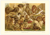 Das Poster von Hunden ist eine Vintage Lithographie aus Meyers Koversations-Lexikon aus dem Jahr 1890. 