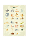 Dieses ABC Poster zeigt dir die Buchstaben von A bis Z und dazu Tiere, die zu dem jeweiligen Buchstaben passen, mit Groß- und Kleinschreibung.