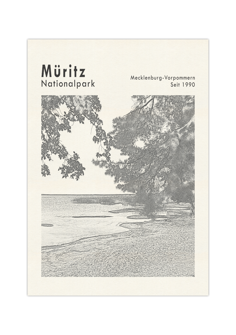 Das beige schwarze Poster zeigt eine Ansicht der Müritz im Nationalpark Müritz, Mecklenburg Vorpommern. 