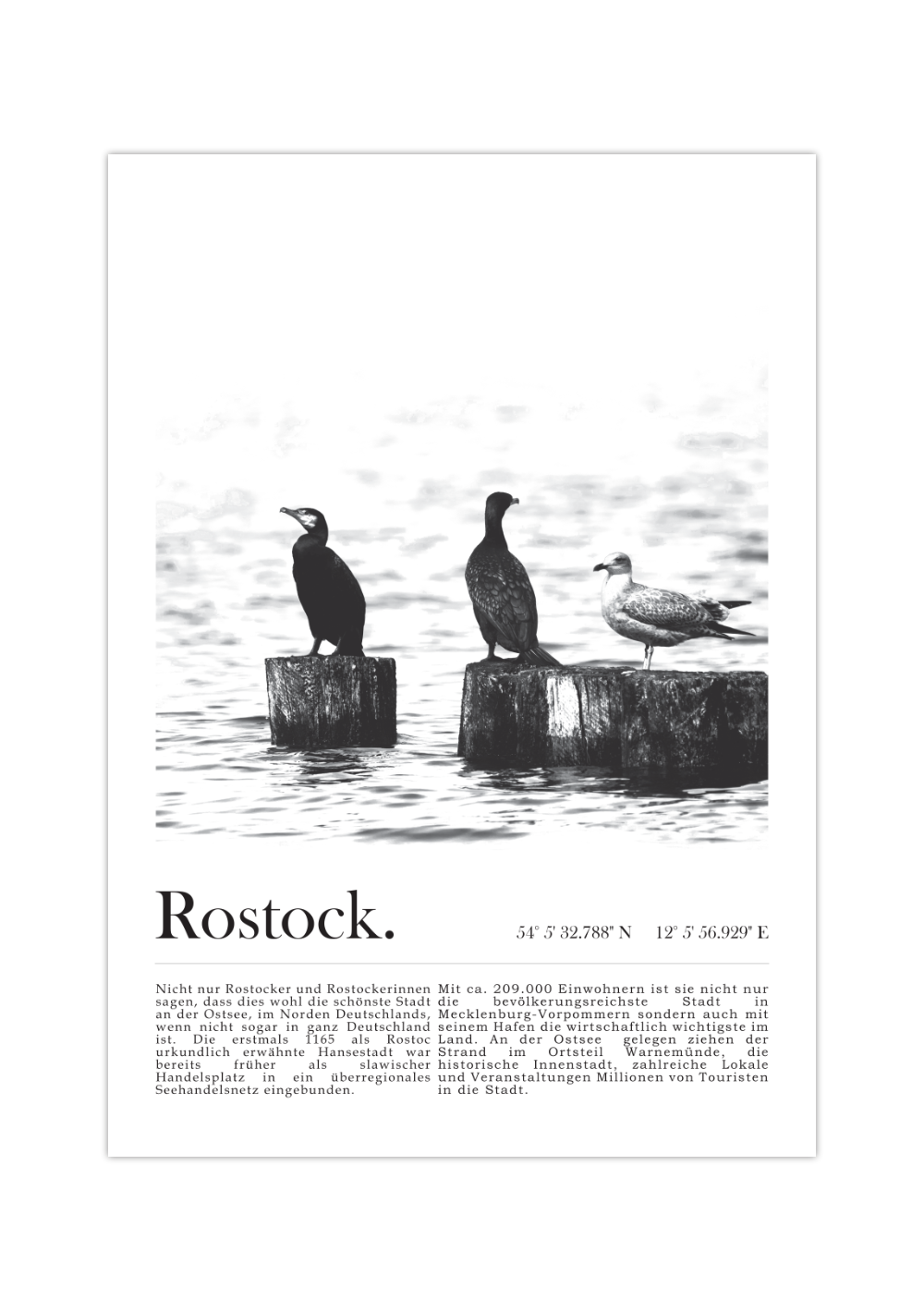 Poster Hansestadt Rostock | Ostsee Möwen Schwarz Weiß – MrTKBooker | Poster