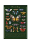 Das grüne Poster zeigt 21 europäische und außer-europäische Schmetterlinge mit lateinischen und deutschen Bezeichnungen.