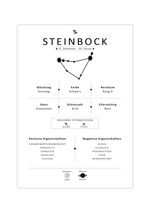 Dieses Bild zeigt dir das Sternzeichen Steinbock mit Symbol, Glückszahl, Planeten, positiven und negativen Eigenschaften, den zu dir passenden Tierkreiszeichen und vieles mehr.