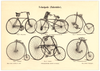 Das Poster von Fahrrädern (Velocipede) ist eine Vintage Lithographie aus Meyers Koversations-Lexikon aus dem Jahr 1890 im viktorianischen Stil.